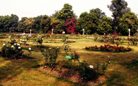 gulab bagh, sajjan niwas garden, udaipur, rajasthan, india